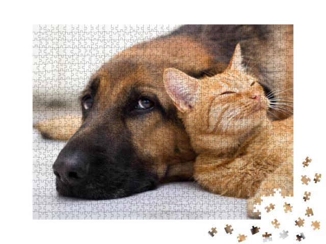 Puzzle 1000 Teile „Nahaufnahme: Katze und Hund liegen zusammen auf dem Boden“