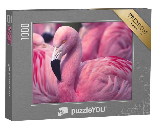 Puzzel 1000 stukjes „Flamingo van Chili“