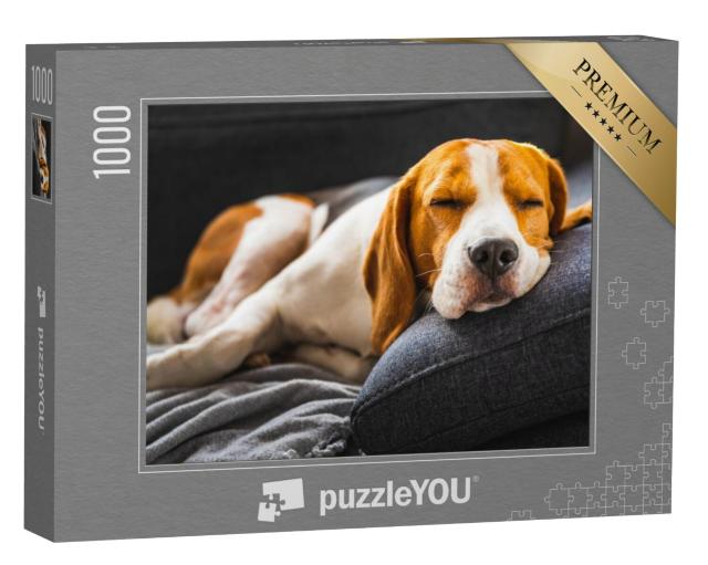 Puzzel 1000 stukjes „Een beagle op de bank“