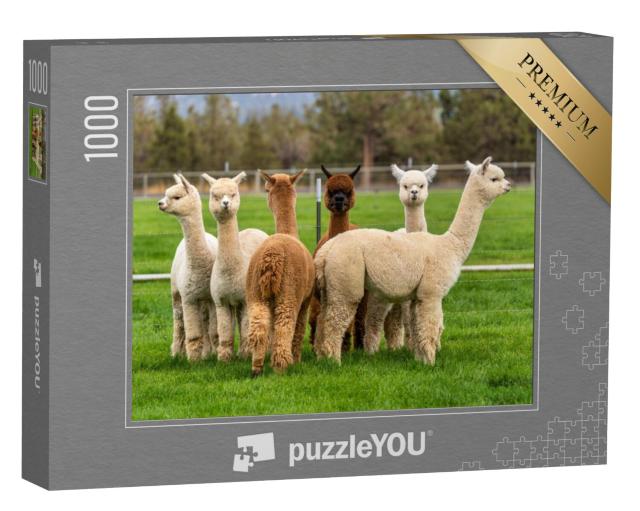 Puzzel 1000 stukjes „Alpaca's op een ranch in Oregon“