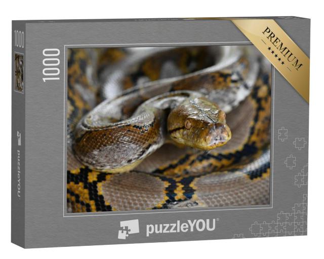 Puzzel 1000 stukjes „Pythonslang van Borneo, Python reticulatus“