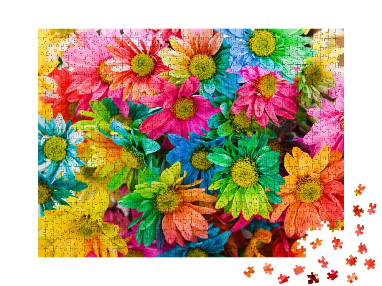 Puzzle 1000 Teile „Regenbogen-Gänseblümchen“
