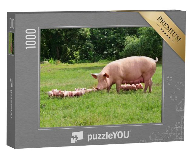 Puzzel 1000 stukjes „Moederzeug met biggen op een groene weide“