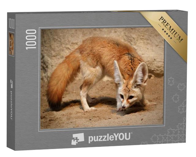 Puzzel 1000 stukjes „Fennec vos op jacht“