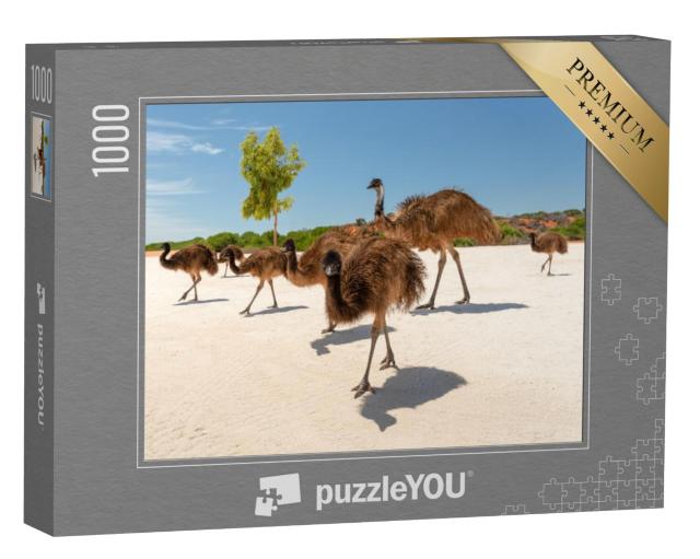 Puzzel 1000 stukjes „Emoe familie bij Shark Bay, Francois Peron Nationaal Park, Monkey Mia“