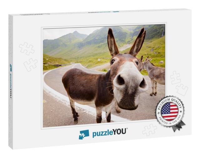 Funny Donkey on Transfagarasan Road in Romanian Mountains... Jigsaw Puzzle