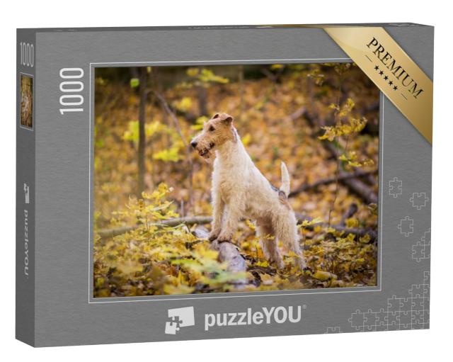 Puzzel 1000 stukjes „Draadharige Fox Terrier Herfst“