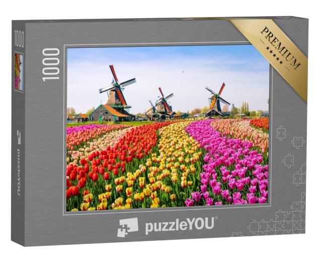 Puzzel 1000 stukjes „Tulpen en windmolens in de Zaanse Schans, Nederland“