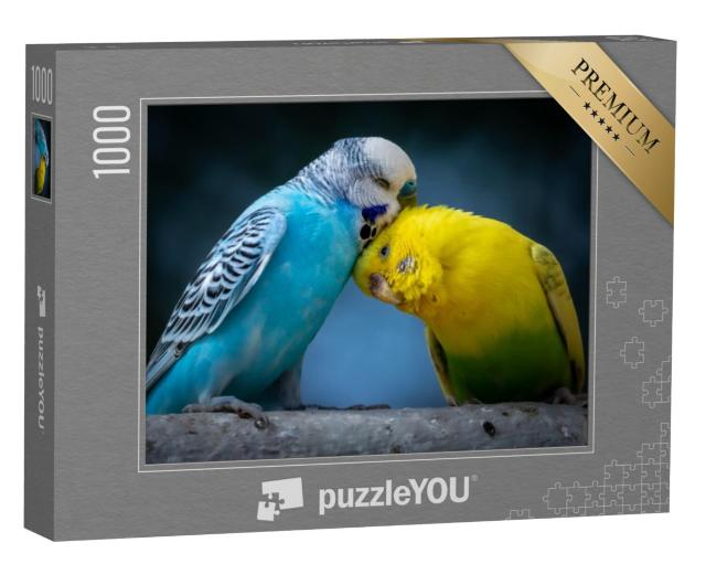 Puzzel 1000 stukjes „Twee schattige parkietjes op een tak“