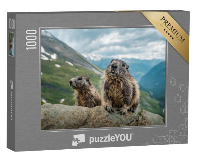 Puzzel 1000 stukjes „Twee marmotten en een prachtig uitzicht op de Großglockner“