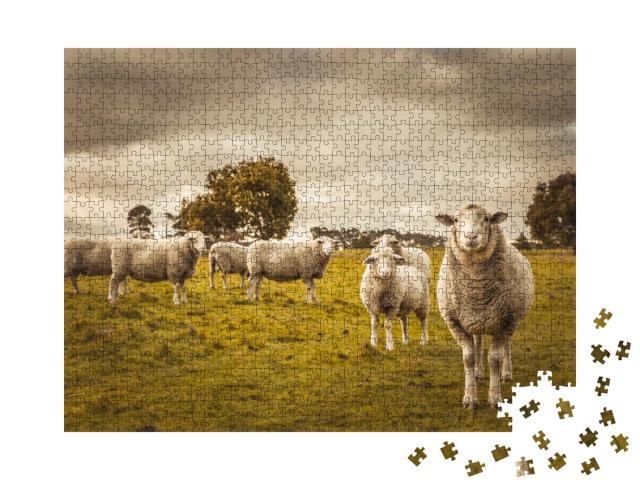 Puzzle 1000 Teile „Schafe auf ihrer Weide“