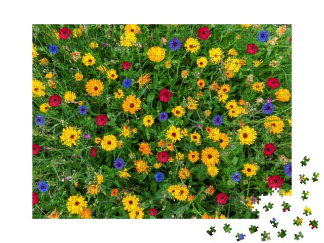 Puzzle 1000 Teile „Großaufnahme: Bunte Blumenwiese zur Sommerzeit“