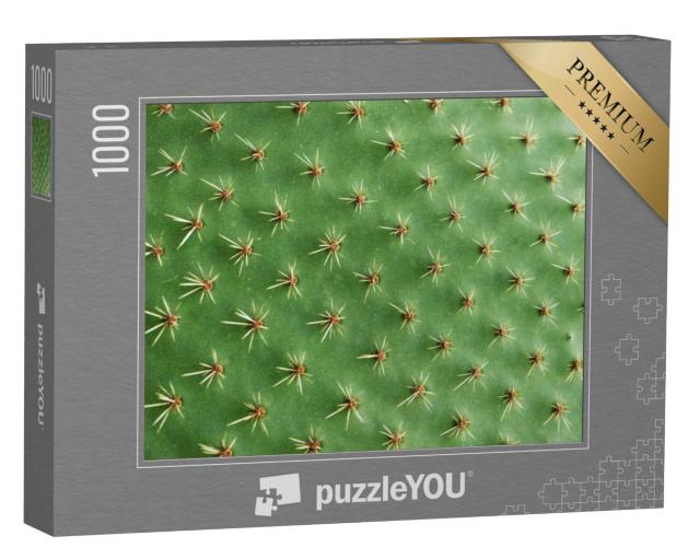 Puzzel 1000 stukjes „Close-up van de stekels van een cactus“