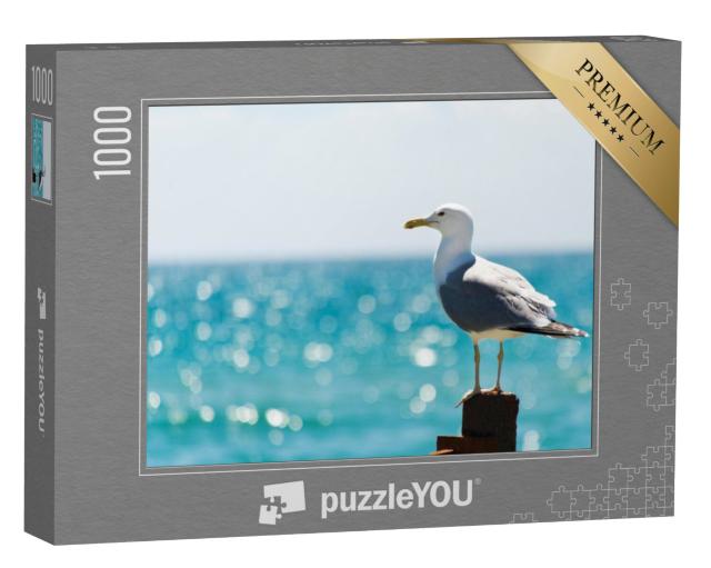 Puzzel 1000 stukjes „Zeemeeuw aan zee“