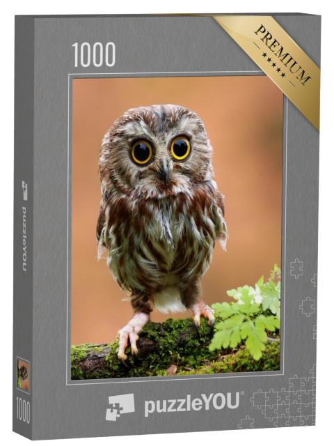 Puzzel 1000 stukjes „De schattige babyuil“