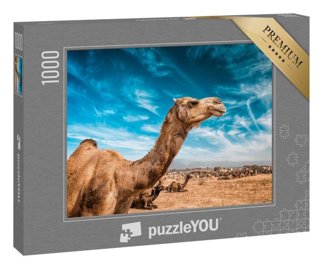 Puzzle 100 Teile „Kamel auf der Pushkar Mela“