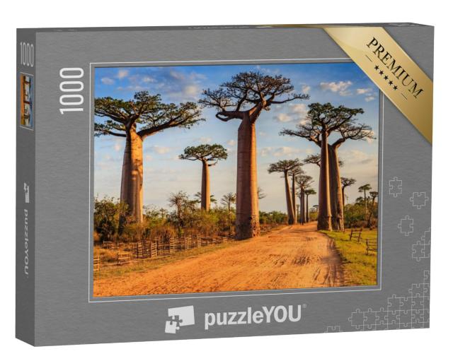 Puzzel 1000 stukjes „Unieke baobabbomen in de laan van baobabs, Madagaskar“