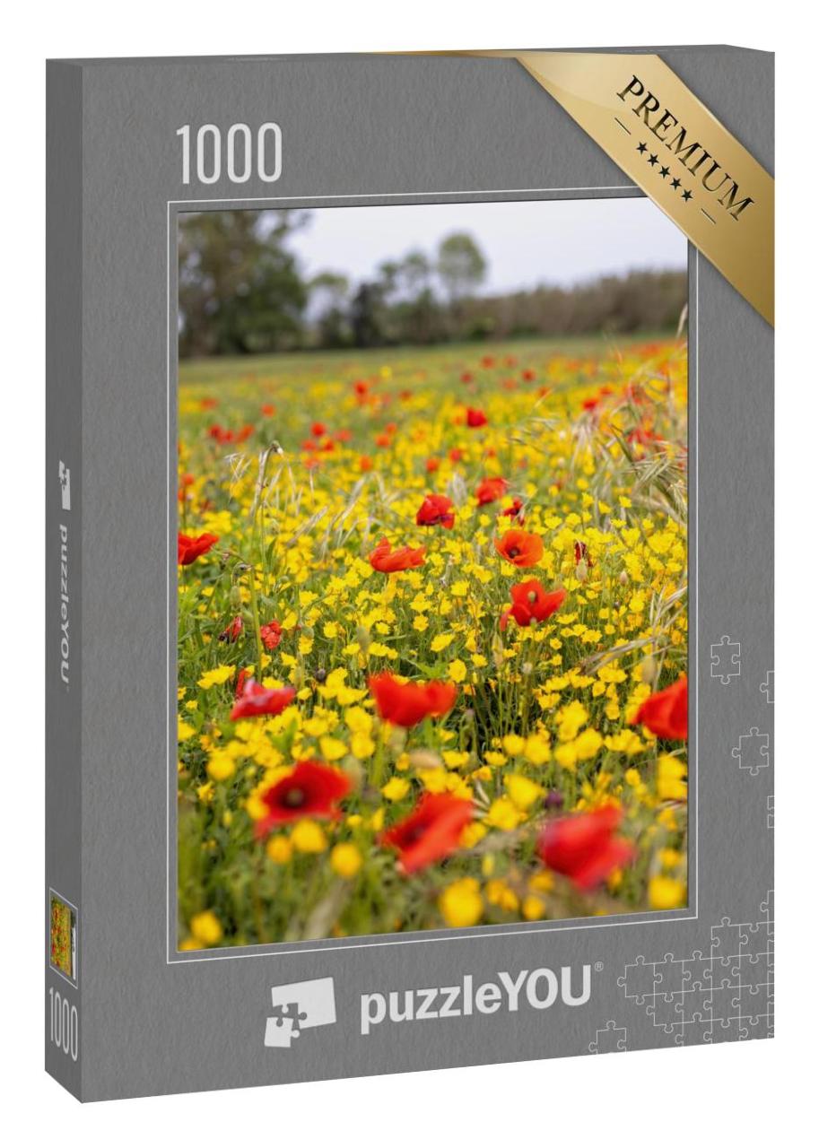 Puzzle 1000 Teile „Frühlingsblumenwiese mit Mohn und gelben Blumen“