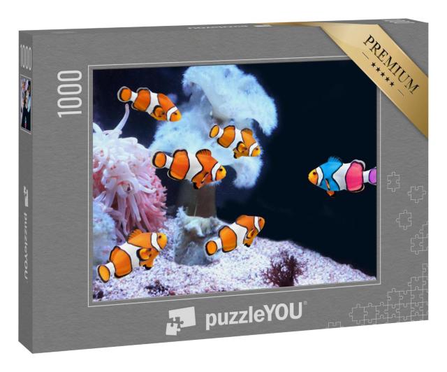 Puzzle 1000 Teile „Schwarm von Clownfischen und ein bunter Clownfisch, Seeanemonen“