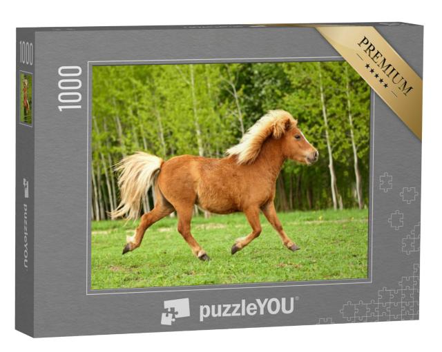 Puzzel 1000 stukjes „Pony dravend in een zomerweide“