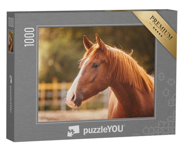 Puzzel 1000 stukjes „Portret van een paard in het avondlicht“