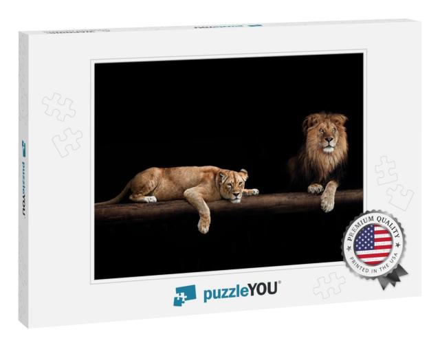 Lion & Lioness, Animal Family. Portrait in the Dark, Afte... Jigsaw Puzzle