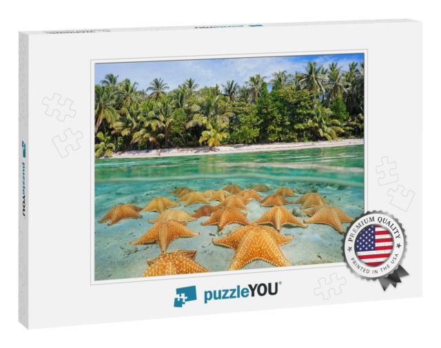 Split Image Over & Under Sea Surface Near the Shore of a... Jigsaw Puzzle