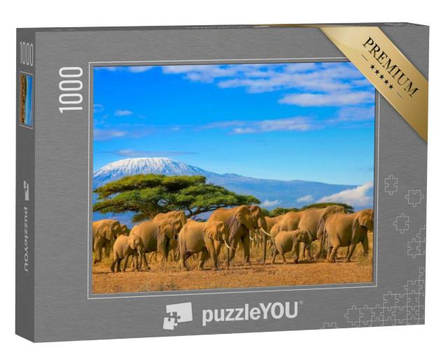 Puzzel 1000 stukjes „Een kudde Afrikaanse olifanten voor de Kilimanjaro, Afrika“