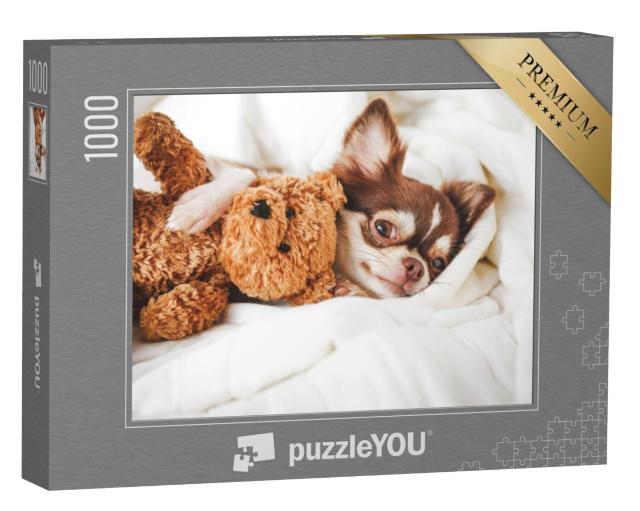 Puzzel 1000 stukjes „Chihuahua puppy slaapt met teddybeer“