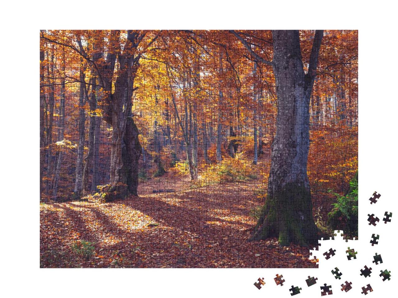 Puzzle 1000 Teile „Naturszene: herbstlicher Wald mit Sonnenstrahlen“