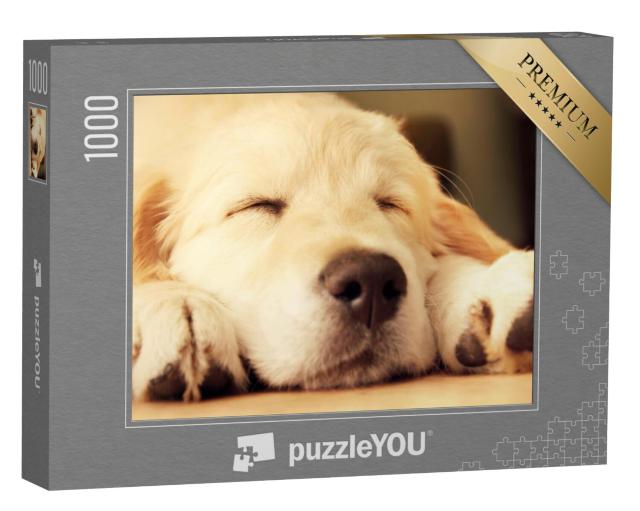 Puzzel 1000 stukjes „Golden Retriever puppy doet een dutje“