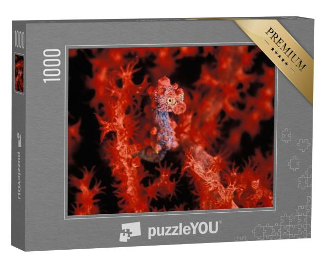 Puzzel 1000 stukjes „Een felrood dwergzeepaardje“