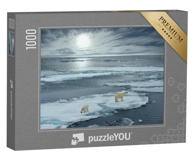 Puzzel 1000 stukjes „IJsbeer met jong op een ijsschots, Noorwegen“