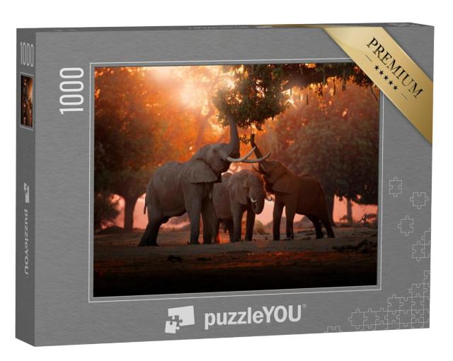 Puzzel 1000 stukjes „Olifanten voeren in het Mana Pools National Park, Zimbabwe“