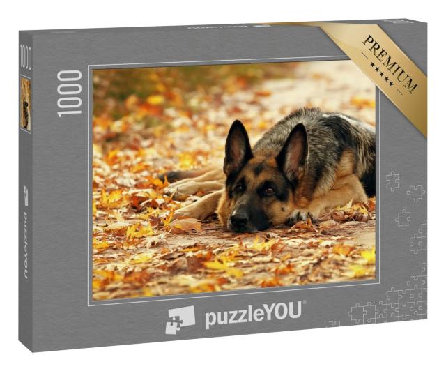 Puzzle 1000 Teile „Deutscher Schäferhund liegt im Herbstwald vor schönem gelben Laub“