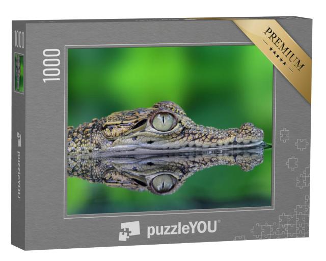 Puzzel 1000 stukjes „Krokodil met reflectie“