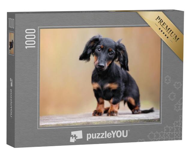 Puzzel 1000 stukjes „Zwarte teckel puppy buiten“