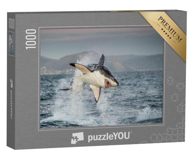 Puzzel 1000 stukjes „Grote witte haai“