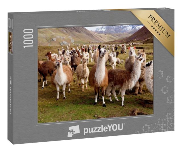 Puzzle 1000 Teile „Llamas und Alpakas von Peru“
