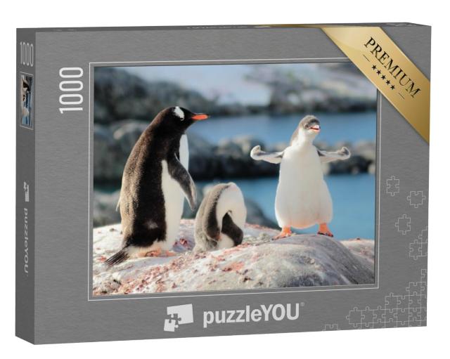 Puzzel 1000 stukjes „Wie is de sterkste pinguïn?“