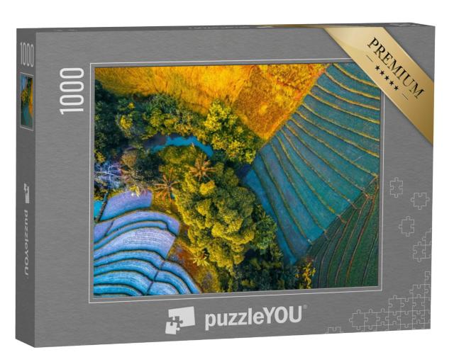 Puzzel 1000 stukjes „Luchtfoto van rijstvelden op het eiland Bali, Indonesië“