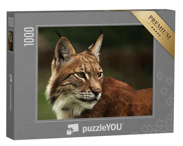 Puzzel 1000 stukjes „Attente Euraziatische lynx“