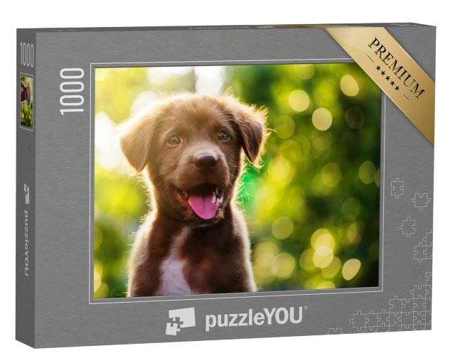 Puzzel 1000 stukjes „Labrador Retriever puppy in de zon“