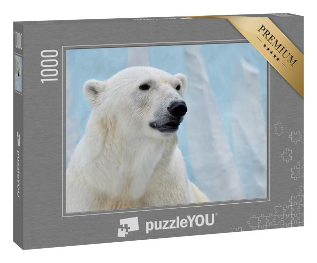 Puzzle 1000 Teile „Porträt eines Eisbären auf blauem Hintergrund.“
