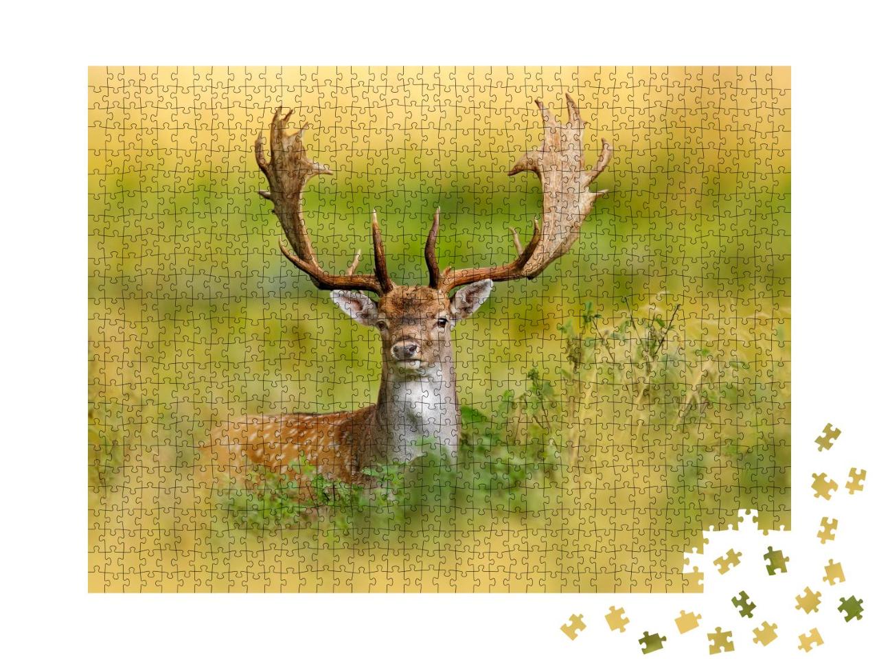 Puzzle 1000 Teile „Majestätischer Damhirsch im Herbstwald, Dyrehave, Dänemark“