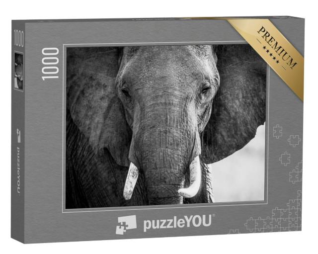 Puzzel 1000 stukjes „Olifantenslurf en ivoor met gezicht in de Masai Mara in Kenia“