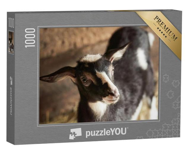 Puzzel 1000 stukjes „Zwart-witte geit in de stal“