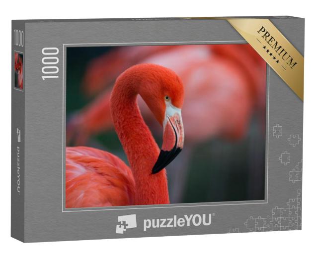 Puzzel 1000 stukjes „Flamingo“