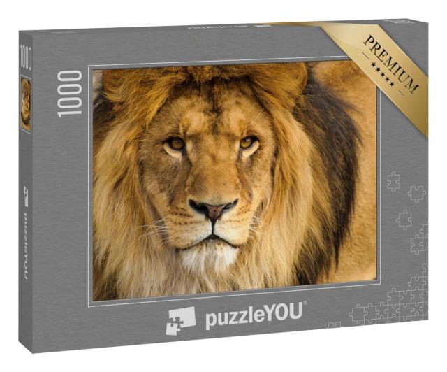 Puzzle 1000 Teile „Portrait eines männlichen Löwen“