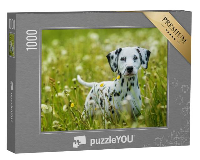 Puzzel 1000 stukjes „Dalmatiër puppy op een paardenbloem weide“